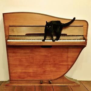 美女撒尿❌❌❌人妻熟女
