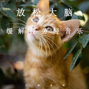 美女撒尿❌❌❌人妻熟女
